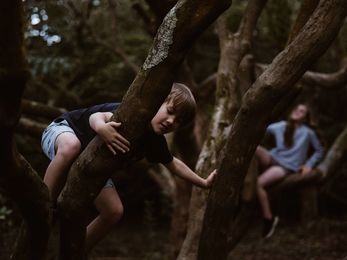 Familiencamp - Auf Bäume klettern