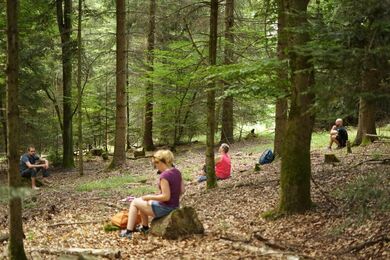 Wälder in Baden-Württemberg: Entspannen und genießen nach dem Yoga
