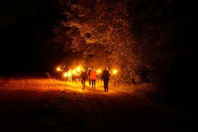 Yoga-Retreat Baden-Württemberg: Natur bei Nacht erleben