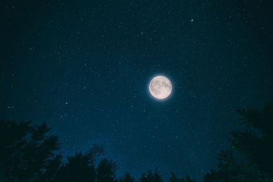 Nachtstreifzug Nachtwanderung Wald Fackelwanderung Sterne